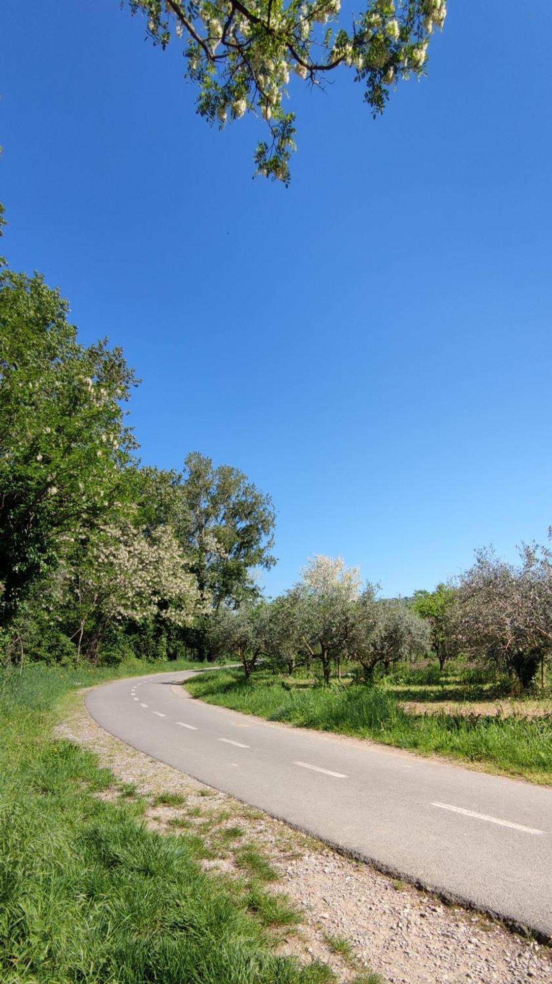 Bordon Wines, Estate With Accommodation Dekani Екстериор снимка