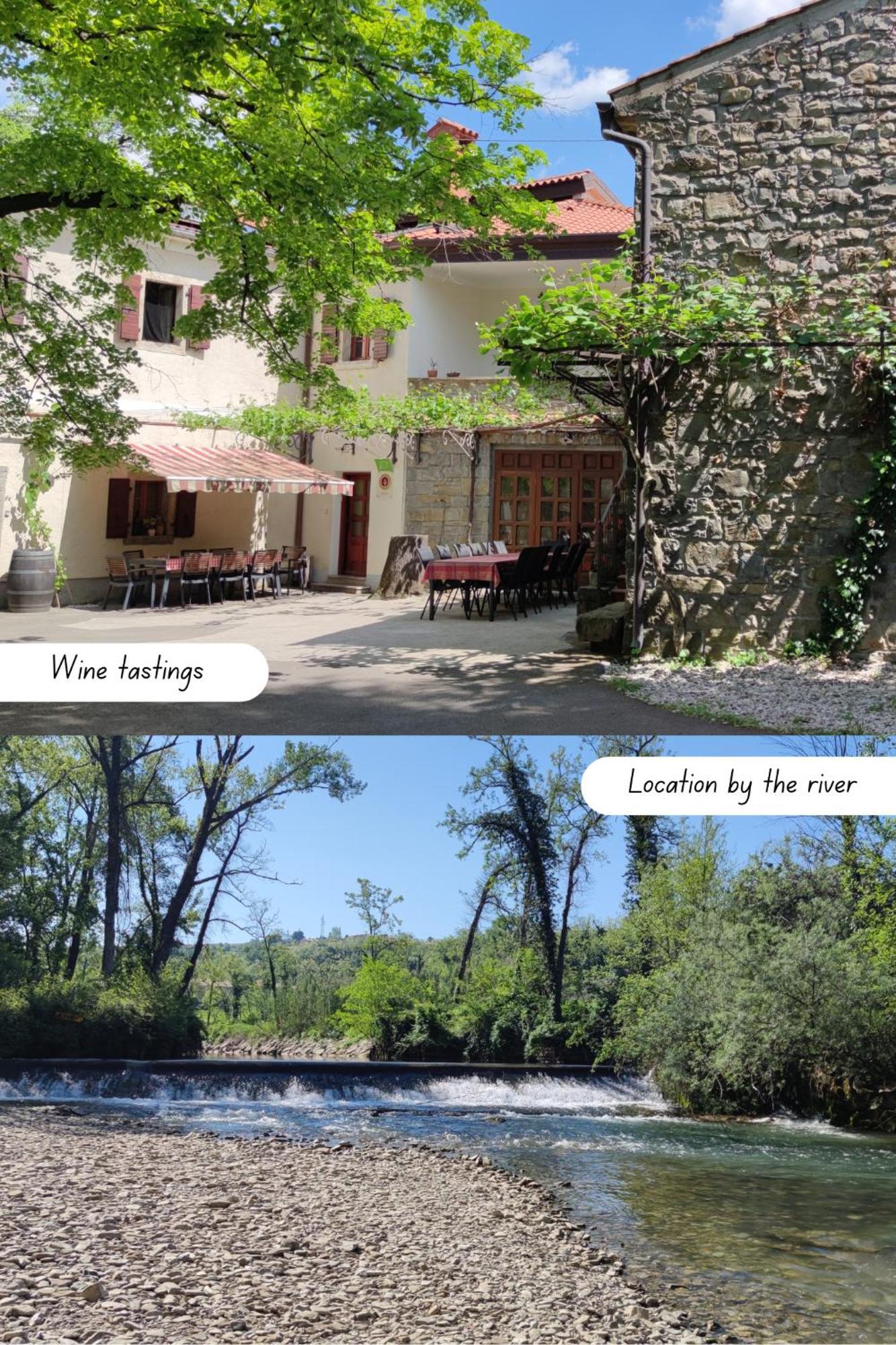 Bordon Wines, Estate With Accommodation Dekani Екстериор снимка